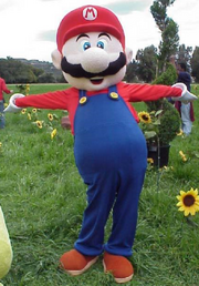 MarioCostume3