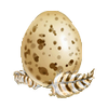 Egg