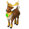 Reindeer