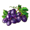 Grapes