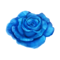 Blue rose | Dreamfields Wiki | Fandom