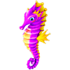 Seahorse