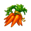 Carrot