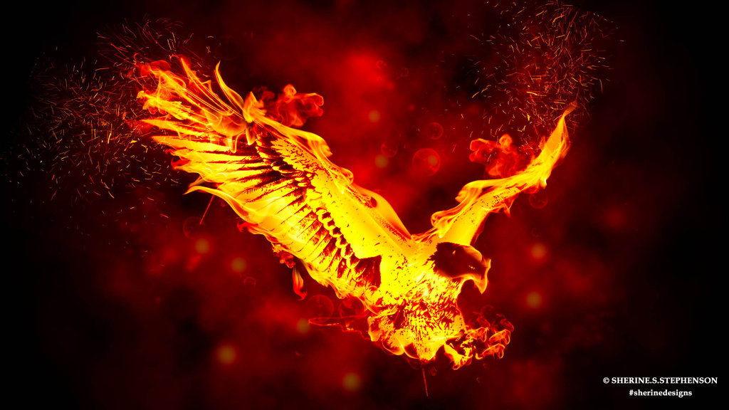 Fire Eagle