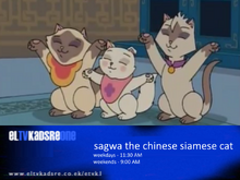 Sagwa the Chinese Siamese Cat promo (2002)