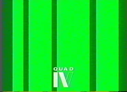 Network ID (Emerald, 1990).