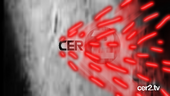 CER2 ident in 2014 (Black & White Copper Cut-Out).