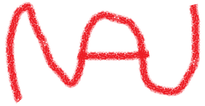 NAN 2000-2007 logo