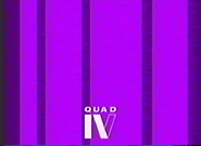 Network ID (Silk, 1990).