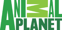 797px-Animal Planet logo