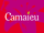 Camaïeu (Ambérieu)