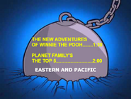 The New Adventures of Winnie the Pooh to Planet Family's The Top 5 (2002)