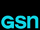 GSN: Gaming Sports Network (Minecraftia)