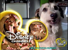 ID ident - Dog Food (2003-2007)