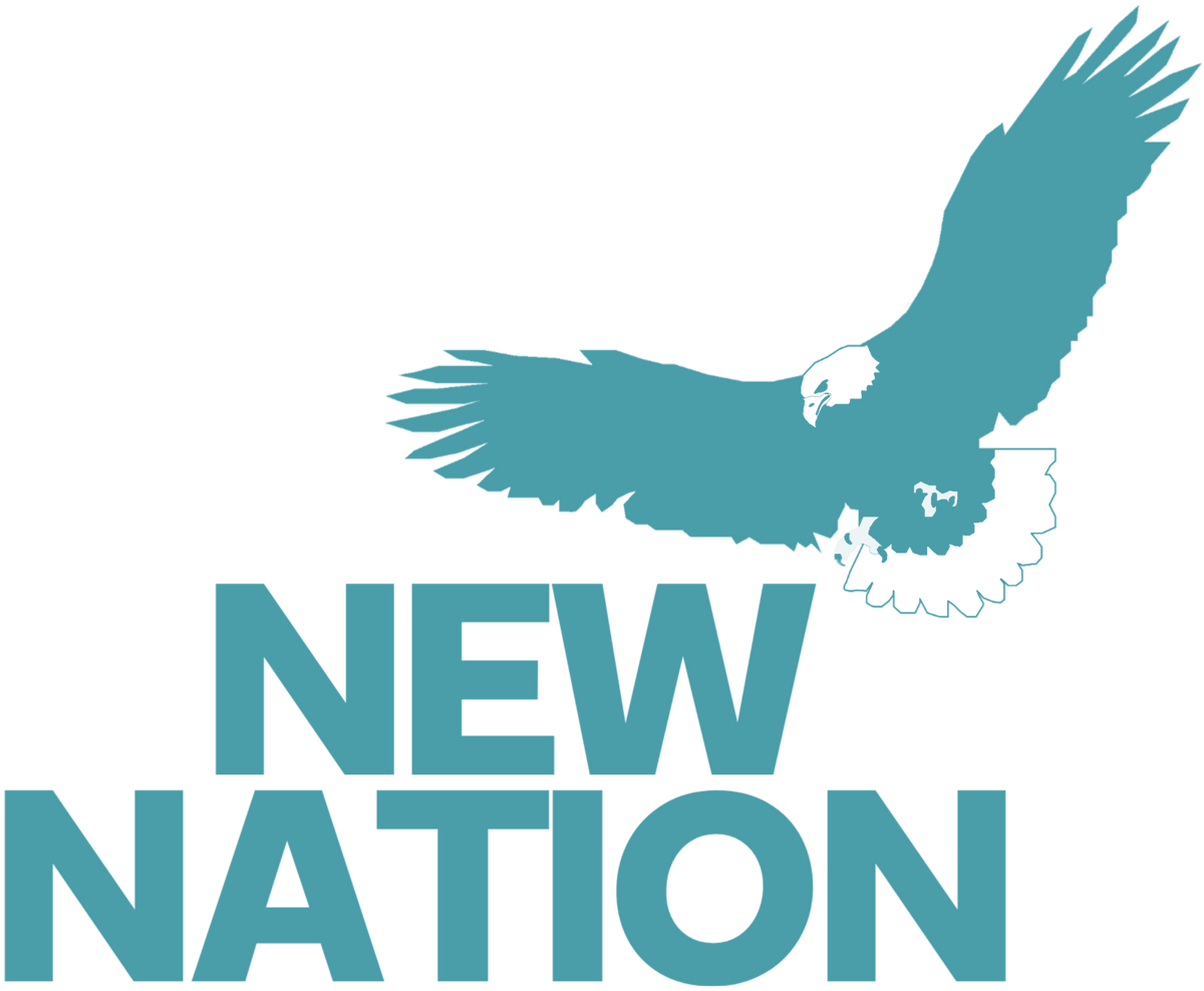 New Nation Dream Logos Wiki Fandom