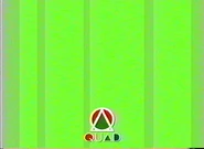 Network ID (Green, 1991).