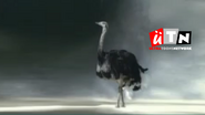 Ostrich bumper, 2014, This bumper is based on BBC2 from Spring and Summer 1991 and used for promos from December 27, 2014 to March 2015.