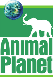 Animal Planet 1996