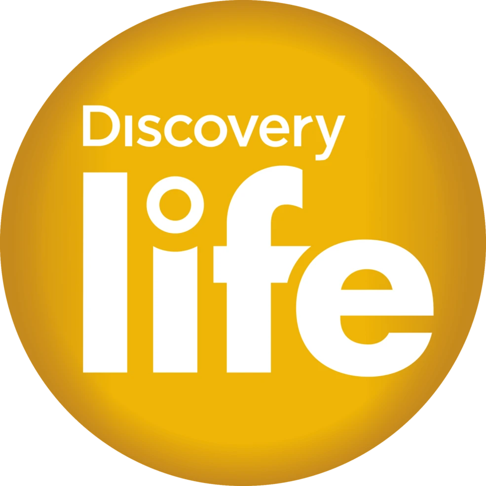 Discovery Life (Latyi) | Dream Logos Wiki | Fandom, image size:985x985