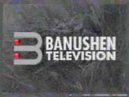 ID ident (1987-1990)