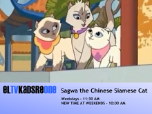 Sagwa the Chinese Siamese Cat promo (2003)