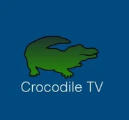 The App Icon used only on Windows phones