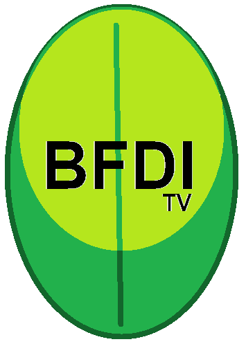 File:BFDI LogoHQ.png - Wikipedia