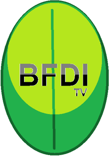 BFDI TV | Pikeland Wiki | Fandom