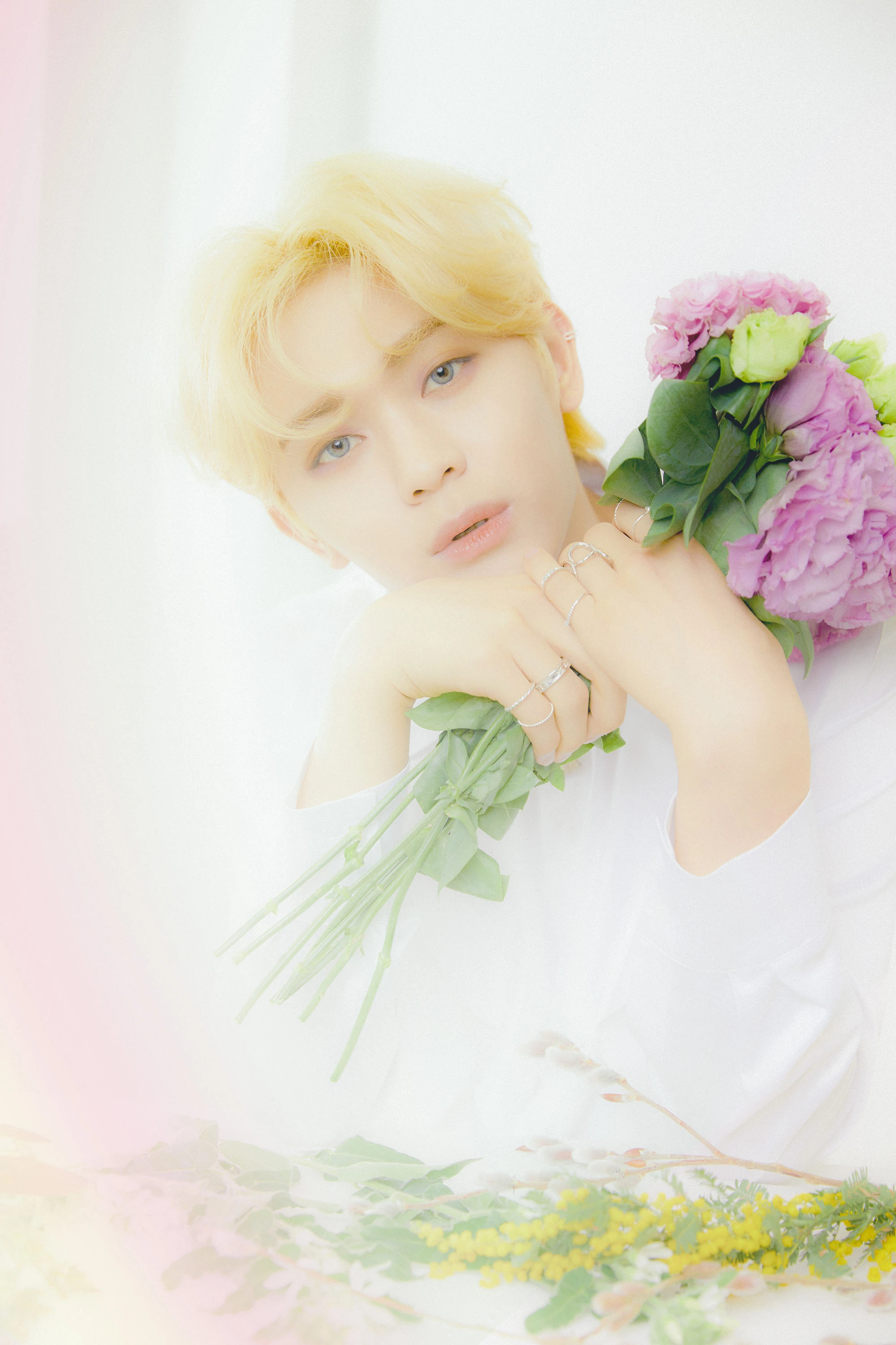 Younghoon | Dream Passport Wiki | Fandom