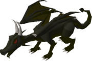 Black Dragon