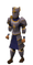 Justiciar Set Equipped.png