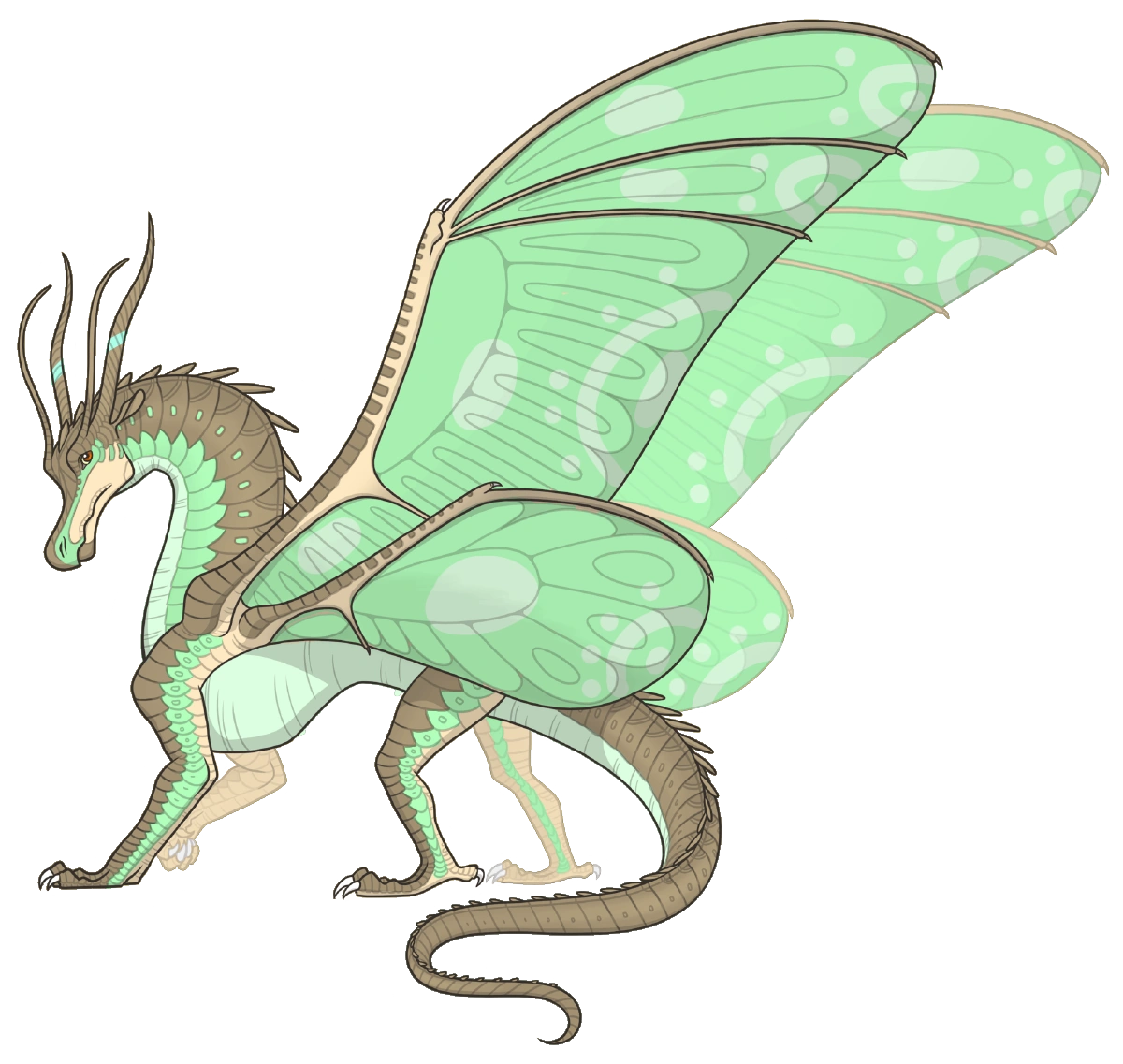 CategorySilkWings Wings of the Dream SMP Wiki Fandom