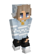 Skin do Festival Verde