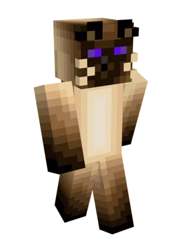 Первая стадия заражения