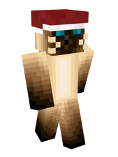 Шапка Санты