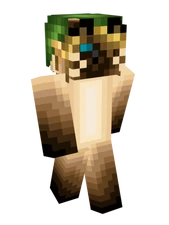 Skin do Link