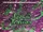 Liquid Tension Experiment (album)