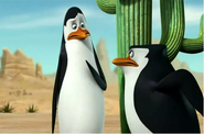 Kowalski and skipper