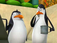 Kowalski andrico