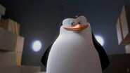 Penguins-of-Madagascar-Movie-Wallpaper-19