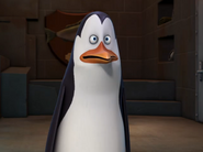 Kowalski-Staring-Intently-At-Something-XD-penguins-of-madagascar-23256440-500-374