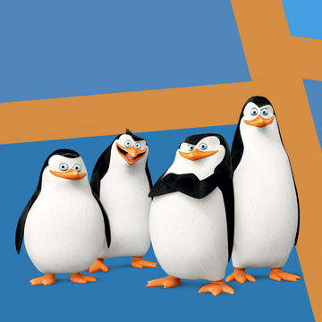 The Penguins family Penguins of Madagascar Wikia Fandom
