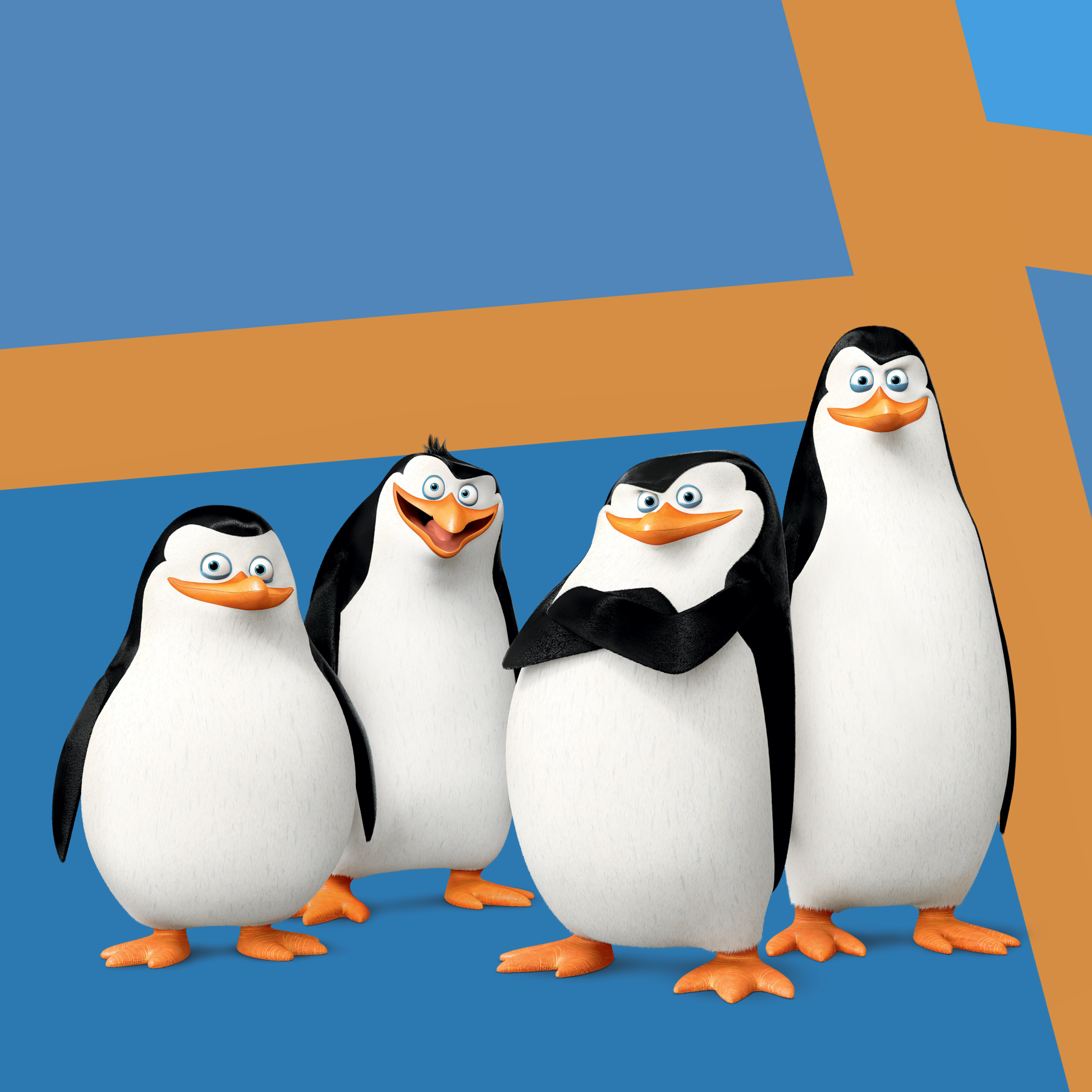 The Penguins' family | Penguins of Madagascar Wikia | Fandom