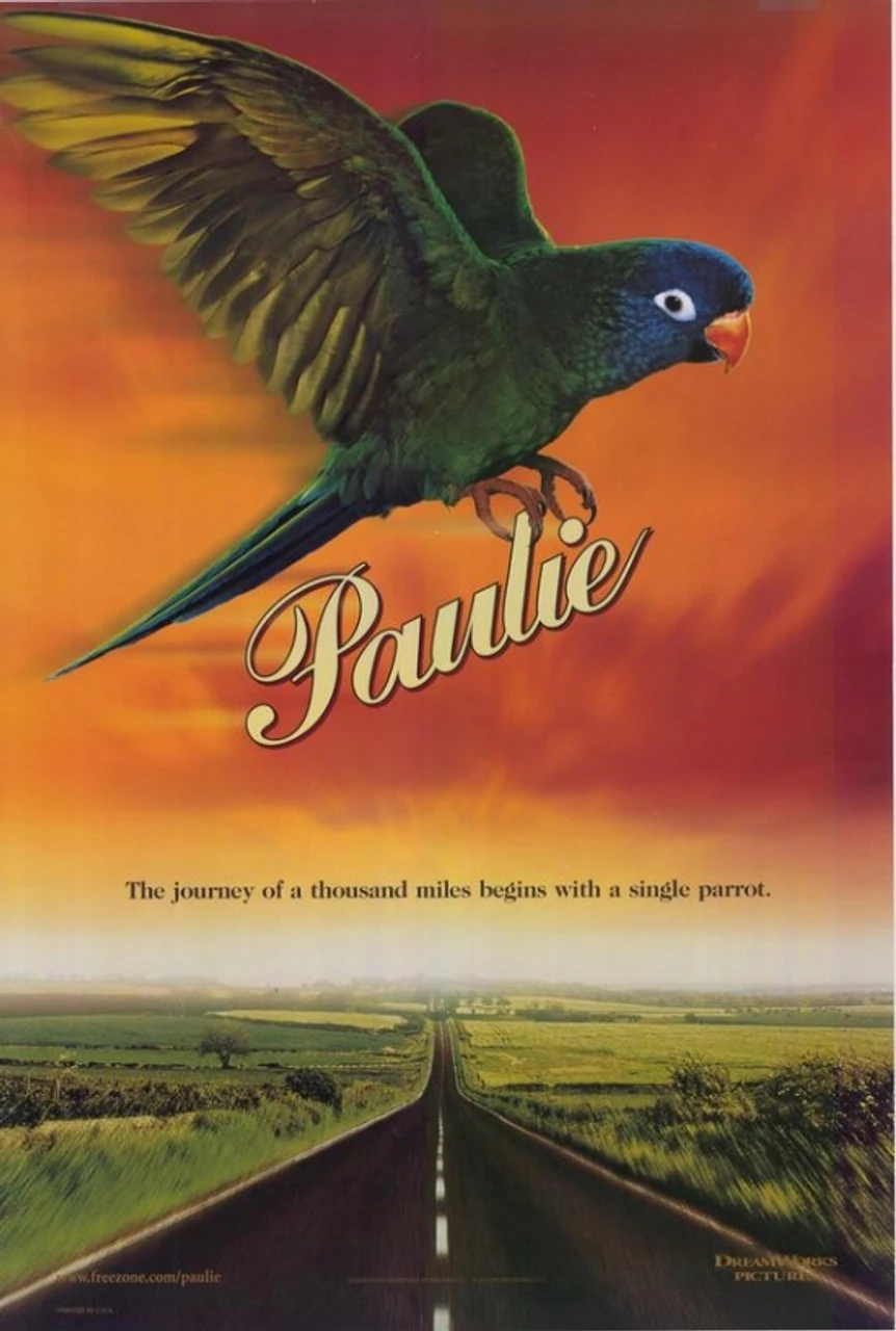 Paulie (1998) | DreamWorks Pictures Wiki | Fandom