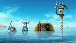 Madagaskar 3 (103 KB) Madagaskar 3