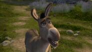 Shrek-donkey-sad-wallpaper-1