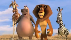 Madagaskar 2