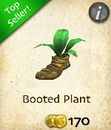 Booted Plant