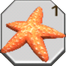 Starfish