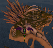 The top part of the island, with the bewilderbeast skull